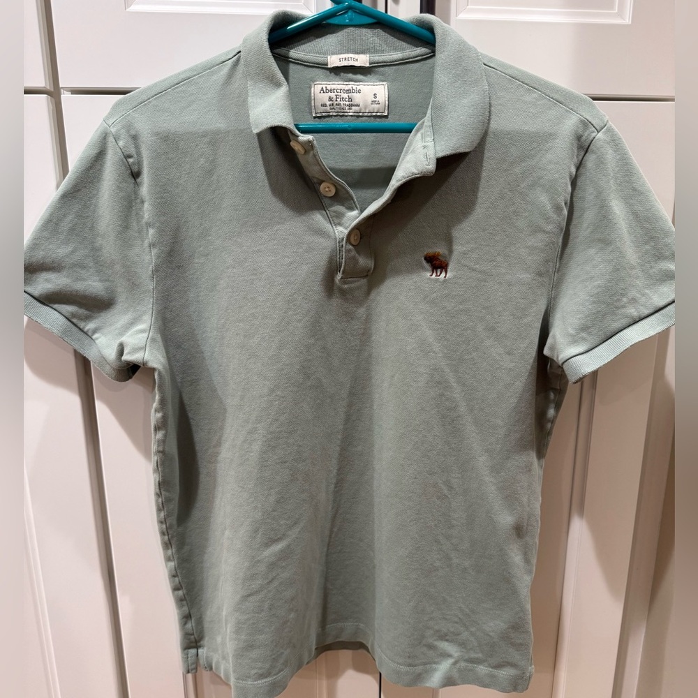 Abercrombie & Fitch Sage Polo Shirt, Size Small